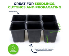 Load image into Gallery viewer, Seedling Planter Pot Square Garden Greens 288 PC Set
